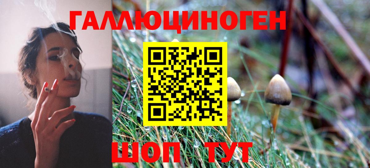 Псилоцибиновые грибы MAGIC MUSHROOMS Нижний Новгород