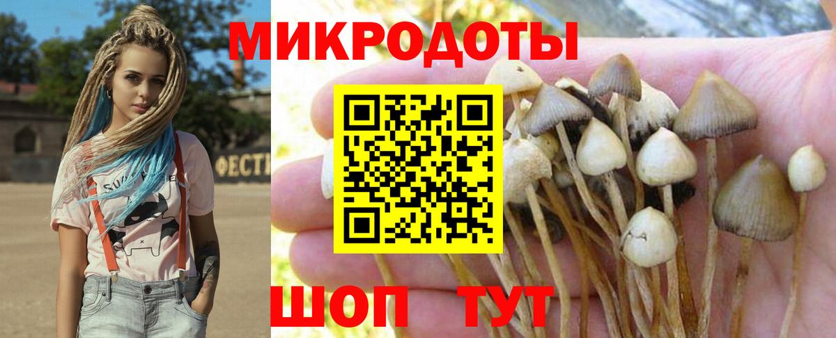 Галлюциногенные грибы прущие грибы  Псилоцибиновые грибы Psilocybe  Вход с VPN  как найти наркотики  Нижний Новгород 